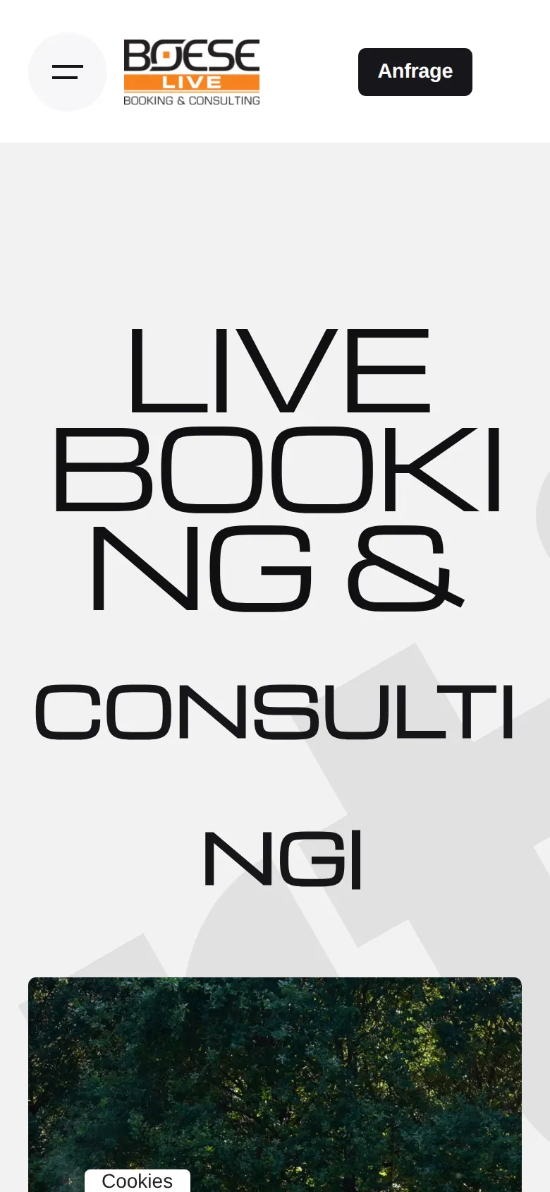 Mobile Ansicht der Website von Boese Live - Booking und Consulting